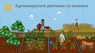 Животът в равнините и низините - Човекът и природата 4 клас | academico