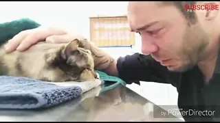 самые грустные видео про котов😿 и собак🐶