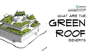 What Are The Benefits of Green Roofs? -  Sustainable Architecture Animated Glossary #21