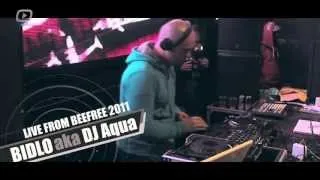 MIXtape | Bidlo aka Aqua | BeeFree 2011 | gluuu.tv