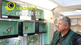 The Canary Room - Season 3 Episode 21 - A visit to Dave Rands The Gloster Man