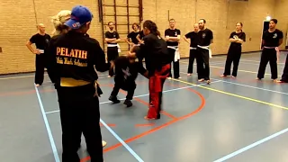 pk Haji Syofyan Nadar seminar beladiri pencak silat in EROPA #SMI #Harimausinggalang #bayang