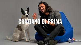 Battersea Rescues Meet: Graziano Di Prima