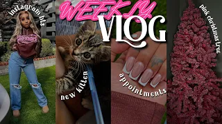 WEEKLY VLOG! MONTHLY RESET + NEW KITTEN + COME TO APPTS W ME + PINK COSTWAY CHRISTMAS TREE + TARGET