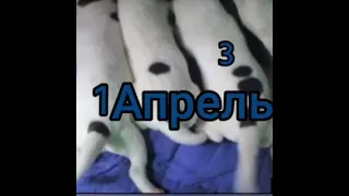 С 1 апреля!