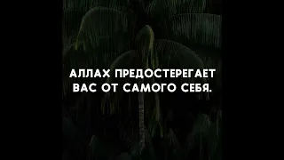 Красивое чтение Мухаммад аль-Люхайдан, Сура 3. Алю-Имран, аят 30