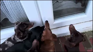 We wanna go out, we wanna go out but we love to come in