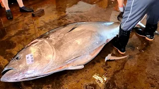 Top Fish Master Cutting Bluefin Tuna Looks So Easy