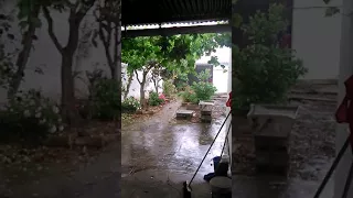 Que Rica la lluvia en el patio de mi CASA