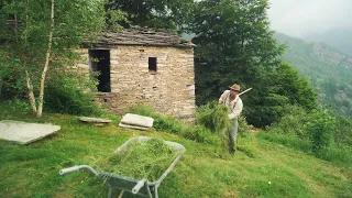 #72 Cutting the Grass, Closing the Trenches, Building a Terrace