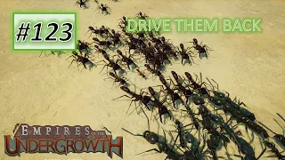 Empires of the Undergrowth #123: Fending Off The Driver Ant - 5.2 Drive Them Back (Impossible)