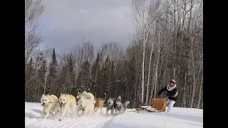 Dog sledding at The Lugdon Lodge in Eagle Lake Maine.