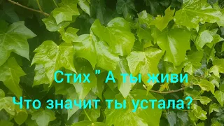 А ты живи, что значит ты устала? Екатерина Бабенко. Прекрасный стих.