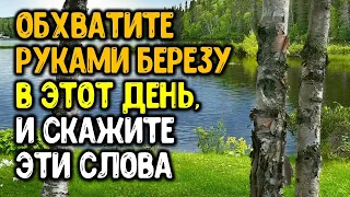 Обхватите березу в этот день, и скажите эти слова