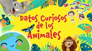 Datos Curiosos de los Animales - Curiosidades de Animales (Videos Educativos para Niños)