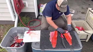 Processing Alaskan salmon