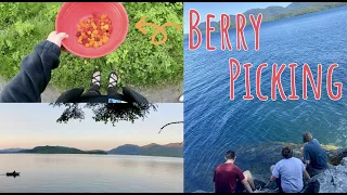 Wild Berry Picking in Alaska! | T1D Lindsey |