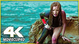 The Shallows (2016) - Stop! | MᴏᴠɪᴇCʟɪᴘ4ᴜ -〚HD〛