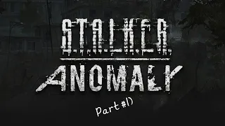 S.T.A.L.K.E.R Anomaly 1.5.2 Война Группировок! Прохождение за военных!