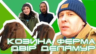 Козина ферма Анни та Євгена "Двір Делямуре".Випуск#3| Роби, як ми!Роби разом з нами!Роби краще нас!