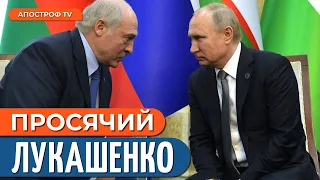 путін тримає Лукашенка біля ноги: "Вагнер" увійдуть у ПВК Білорусі? // Вячорка