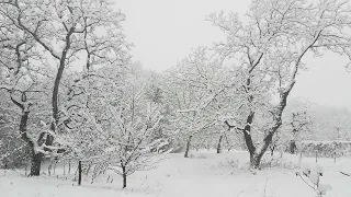 Calming Hang Drum Sounds for Relaxation, Stress Relief [UHD] / (4K) 11 Hours of Winter Wonderland
