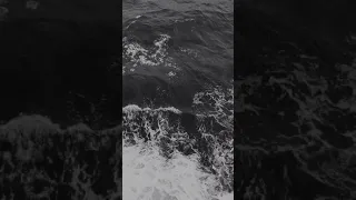 Hammali, Navai - Птичка Remix (slowed)