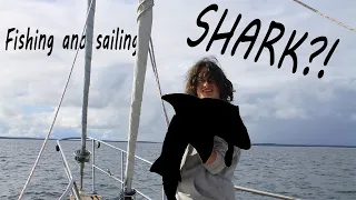 Ep 6: We caught too many fish on this sail!
