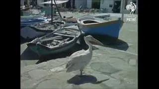 Mykonos 1965 .....