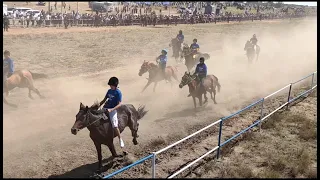 ТАСКЕСКЕН ЖҮЙРІКТЕРІНІҢ БӘЙГЕСІ