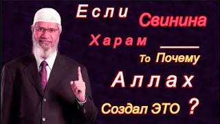 Закир Найк - Если Свинина Харам,То Почему Аллах Создал Это ?