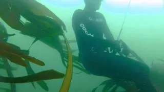 Spearfishing with John (Cape Town Freediving)