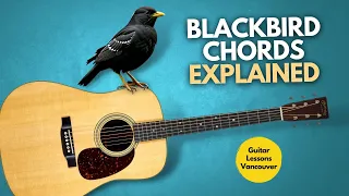 Blackbird Chords Explained