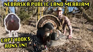 NEBRASKA TURKEY HUNTING PUBLIC LAND MERRIAMS | CROSSBOW HUNTING FOR TURKEYS!