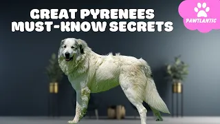Great Pyrenees Dog Lovers  Discover the Must Know Secrets NOW!
