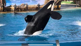 Orca Encounter (Full Show) at SeaWorld San Diego May 27, 2023