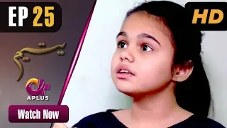 Yateem - EP 25 | Aplus| Sana Fakhar, Noman Masood, Maira Khan | Pakistani Drama | C2V1