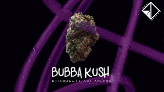 Bubba Kush - Bulldogg x Sultanlobo - Real Dreams (Official Music Video)