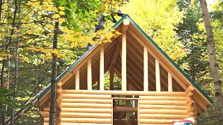 Building A Log Cabin | Ep. 37 | The roof is DONE! Fall colors are here | Gardening mistakes