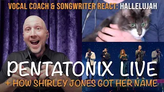 Vocal Coach & Songwriter React to Pentatonix - Hallelujah (live) | Song Reaction & Analysis