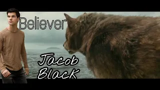 Jacob Black Believer [Twilight]