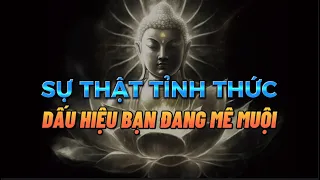 Sự Thật Tỉnh Thức - Dấu hiệu Bạn Đang Mê muội