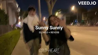 Sunny Sunny (slowed + reverb) | Yo Yo Honey Singh & Neha Kakkar | COLD HEART