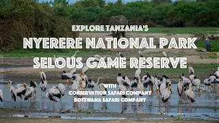Explore Nyerere National Park [Selous Game Reserve] with Conservation Safari Company