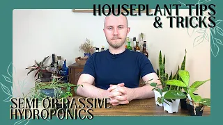 Transferring Hoyas To Semi (Passive) Hydroponics | Houseplant Tips & Tricks Ep. 15