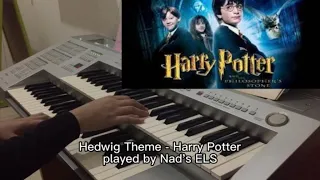 Hedwig's Theme - Harry Potter played by Nad's ELS