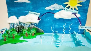 Water cycle | School project | 3D model for school exhibition