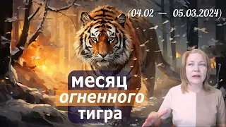 Месяц огненного тигра: прогноз по Ба Цзы, Ци Мень и Феншуй на первый месяц года Дракона (2024)