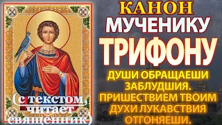 Канон святому мученику Трифону, молитва. Души обращает заблудшия к Богу, духи лукавыя отгоняет.