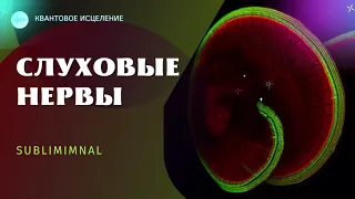 ВОЗРОЖДЕНИЕ СЛУХОВЫХ НЕРВОВ (ПОДСОЗНАТЕЛЬНЫЕ ВНУШЕНИЯ) САБЛИМИНАЛ